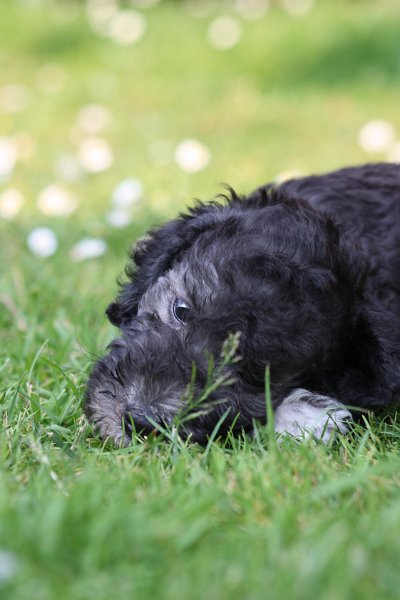 Arc-en-ciel Antares 2009-06-30 (30).JPG